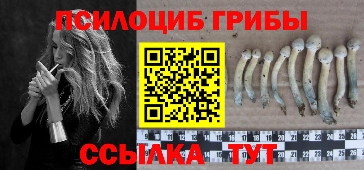 Кубинка  Псилоцибиновые грибы мицелий  Вход с VPN  Галлюциногенные грибы ЛСД 